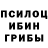 Галлюциногенные грибы Psilocybe Kommissar Knusprig