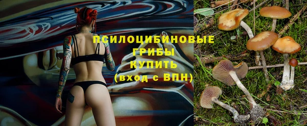 apvp Заволжск