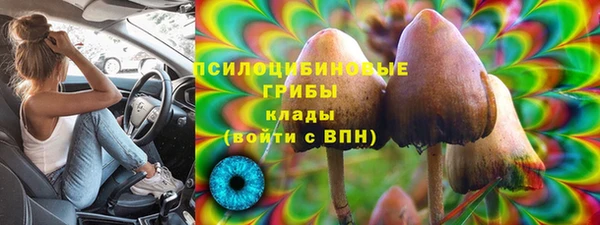 apvp Заволжск