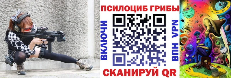 купить наркоту  Дербент  Псилоцибиновые грибы Psilocybe 